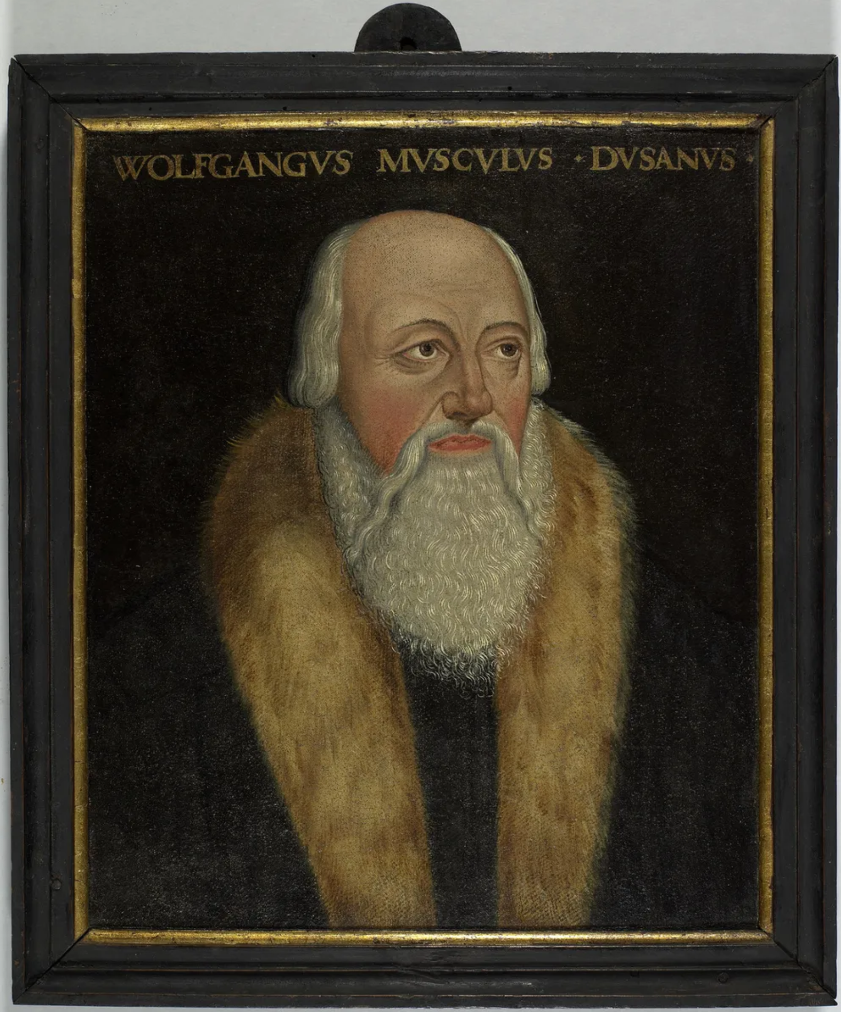 Wolfgang Musculus